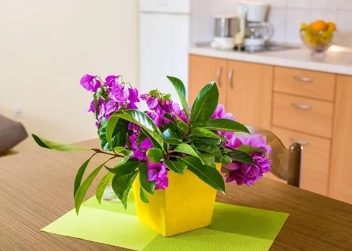 Apartman Apartment Nin Beach *